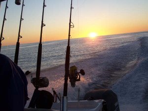 Fishing Charters